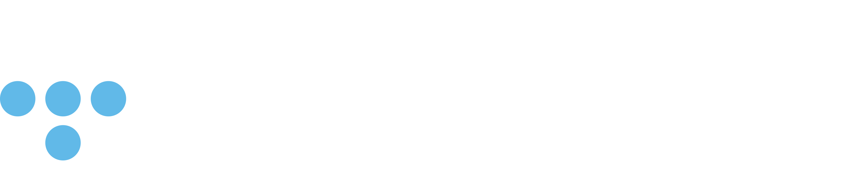 ultimo_logo_schultz_flat_big_bianco1